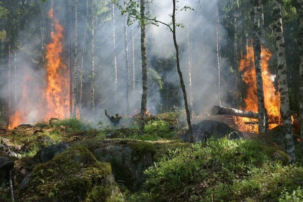 Clear Creek Fire Mitigation